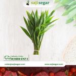 Daun pandan / ikat