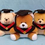 Pembuatan BONEKA WISUDA KOMBINASI VERSI 3 - Coklat tua