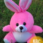 Pembuatan Boneka Custom Nama / Teddy Bear Mini Untuk Souvenir / Ukir Nama Satuan