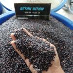 Produsen Beras untuk Restoran di lampung