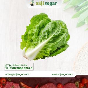 Selada keriting  / 100gram