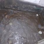 jasa membran bakar pelapis di cikarang