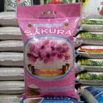 Supplier Beras Untuk Hotel di samarinda