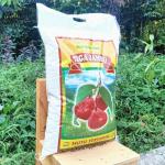 Supplier Beras Untuk Rumah Sakit di salemba