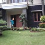 jasa perawatan taman rumah
