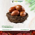 Telur Pitan