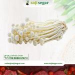 Jamur enoki / pcs