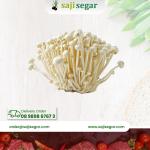 Jamur shimeji putih / pcs