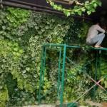 Jasa Taman Vertikal Garden Sintetis - Green Wall - Vertical Garden