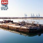 perusahaan kapal RoRo