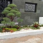 pembuatan taman jepang 1