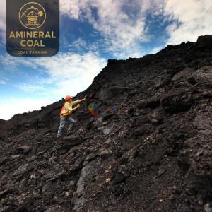 perusahaan batubara di kalimantan timur