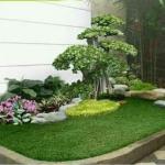 Baru! Jasa Taman&Decorasi Rumah/Kantor Rumput Gajah Mini