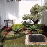 jasa taman depan rumah