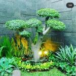 terima jasa pembuatan taman mungil