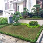 Jasa buat taman minimalis - Paket Taman minimalis